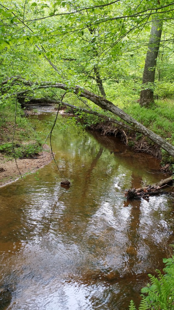 2015-5-9 camping 027